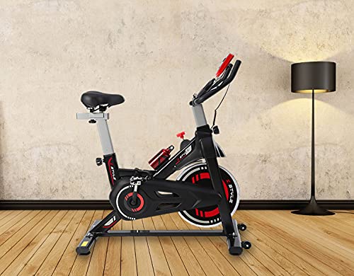 Bicicleta de spinning con monitor, bicicleta estática de casa con sillín y manillar ajustable, bicicleta de spinning para entrenamiento en casa, glúteos y abdominales, volante de inercia de 10 kg